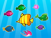 Colorful Fish Matching