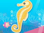 Finding Seahorses